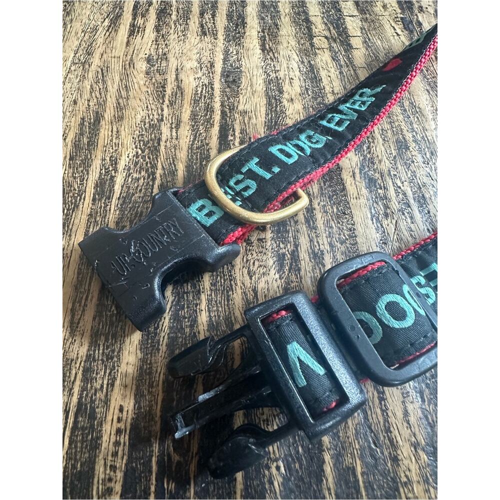 Vivacouture Black Collar with Teal Embroidered Text and Red Stitching - Picture 3 of 8